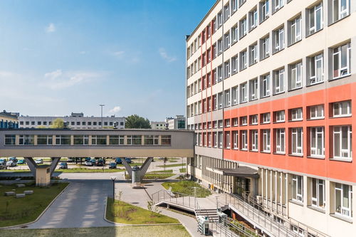 九游下载官网-中国青少年篮球课程体系现代化建设，《中国青少年篮球训练教学大纲(2013版)》