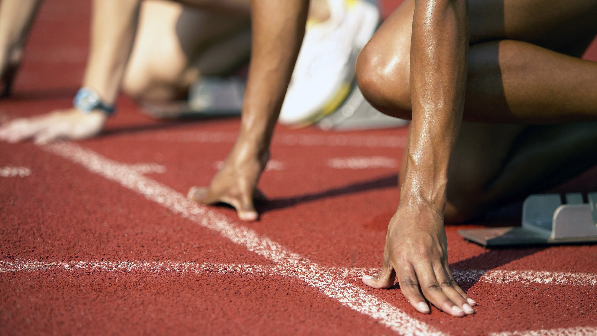 校园体育赛事品牌建设路径与传播策略研究，校园体育竞赛体系