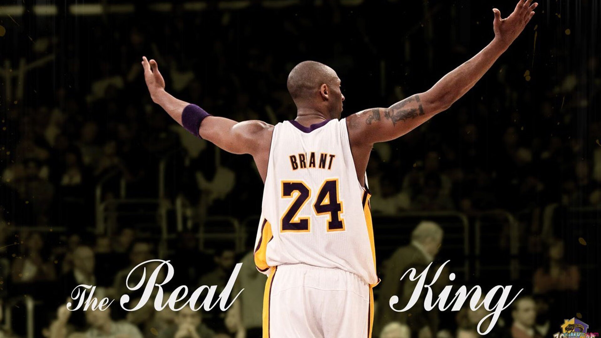 _极光穿越跑：光影中追逐梦想_，极光的越野性能怎么样