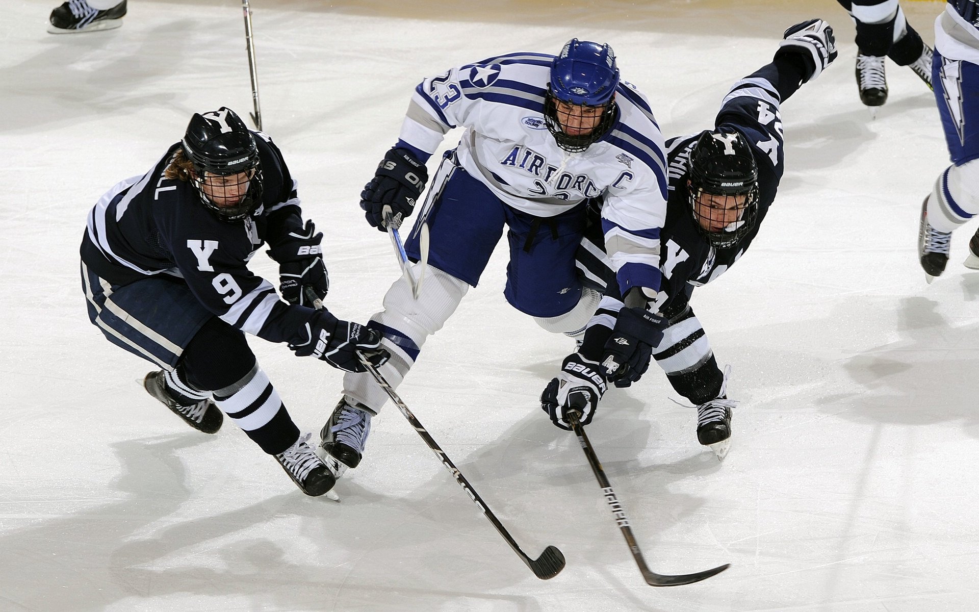 未来十年：联盟文化的新变革，联盟 发展
