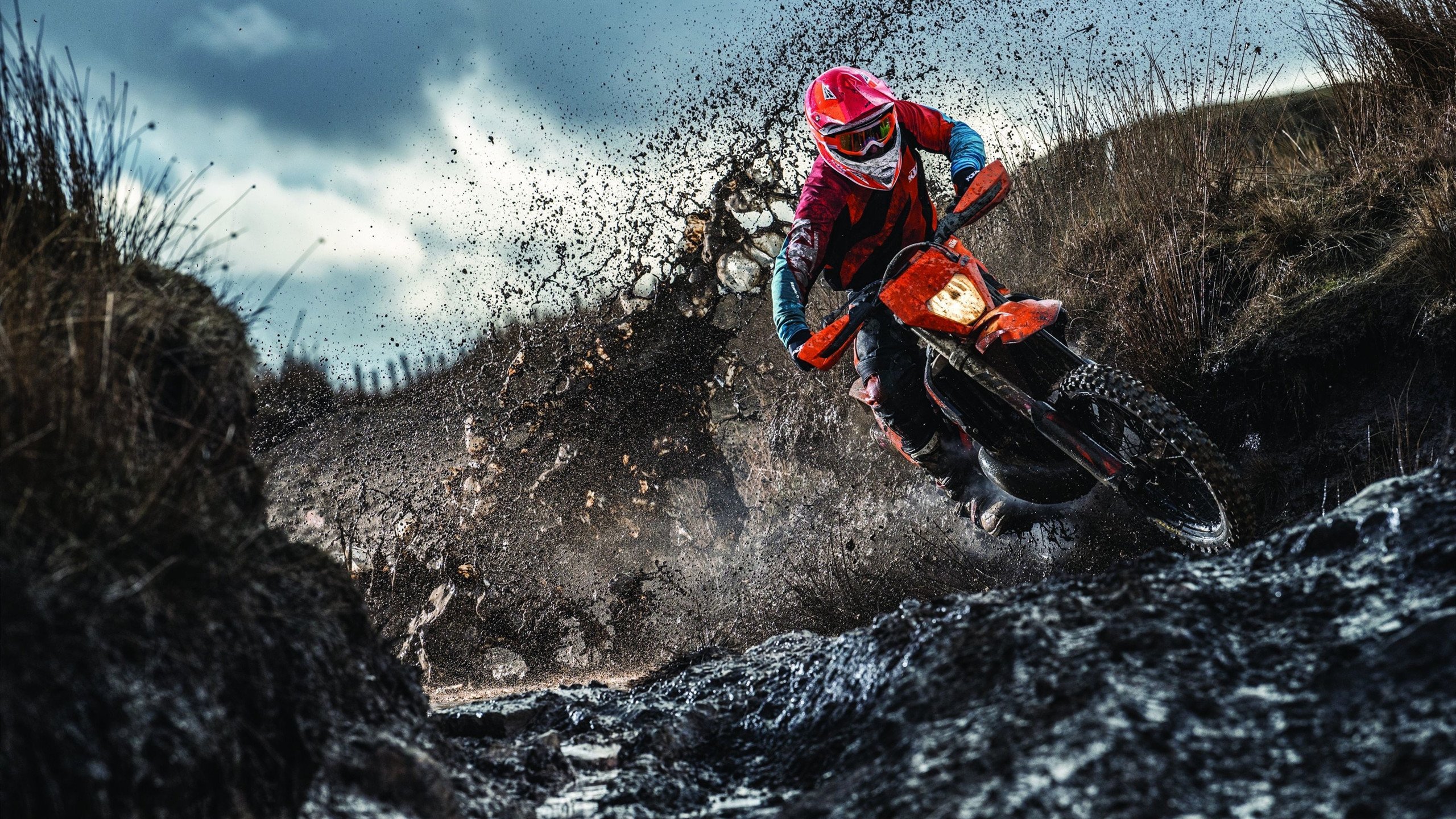 赛季“潜力股”盘点：明年可能会大放异彩的新人们，下个赛季出什么车