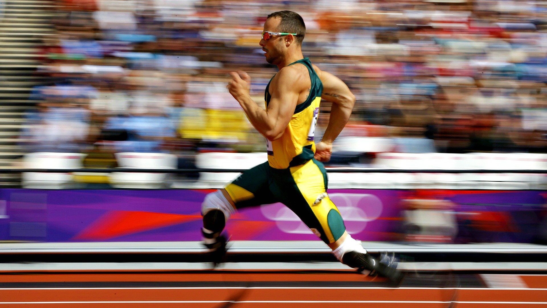 野外生存技能运动会，体验自然的考验，野外生存活动